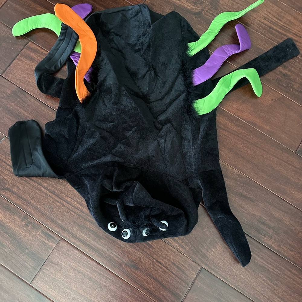 Pet Dog  Black Spider Costume with Colorful Legs